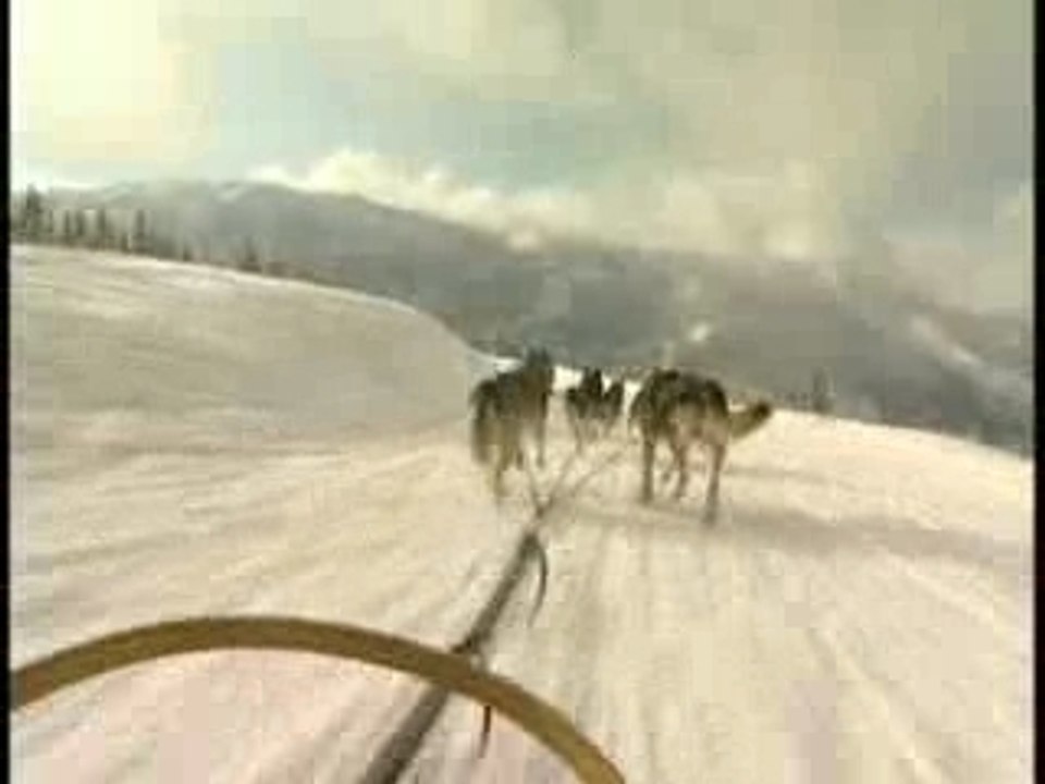 Les nomades du froid