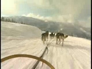 Les nomades du froid