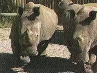 1988 ABC Commercials Part 2