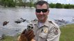Baby Owl Stranded in Flooded Waters Rescued