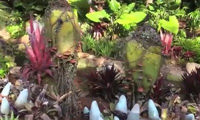 Wahana Taman Disney Diberi Nama Pandora