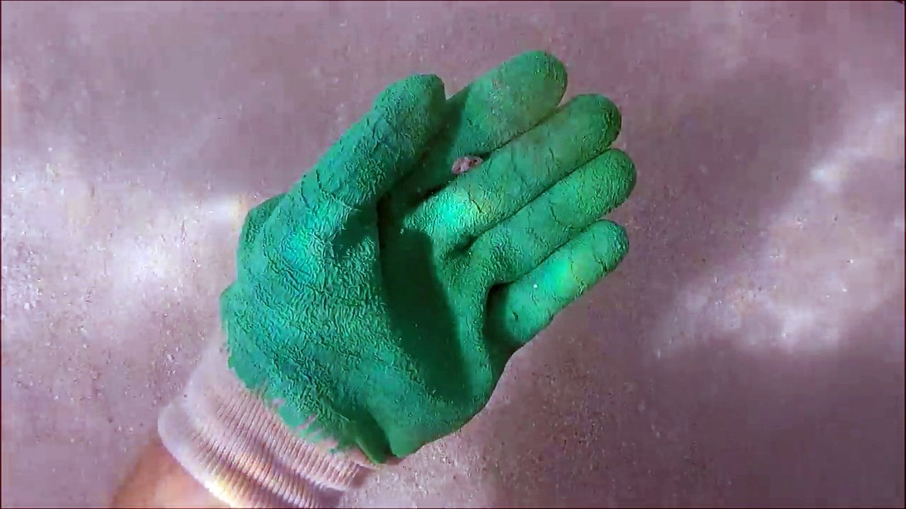 Underwater Metal Detecting hunting treasure, gold ring,gold coin,gold chain,silver #4