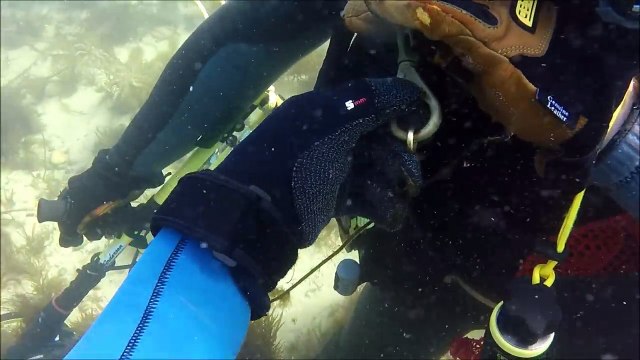Underwater Metal Detecting hunting treasure, gold ring,gold coin,gold chain,silver #1
