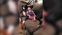 Il est tellement bien ce coussin... Bébé qui dort sur le chien