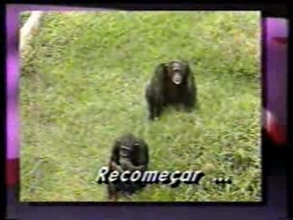 Memória da TV - Mónica Veloso (2)