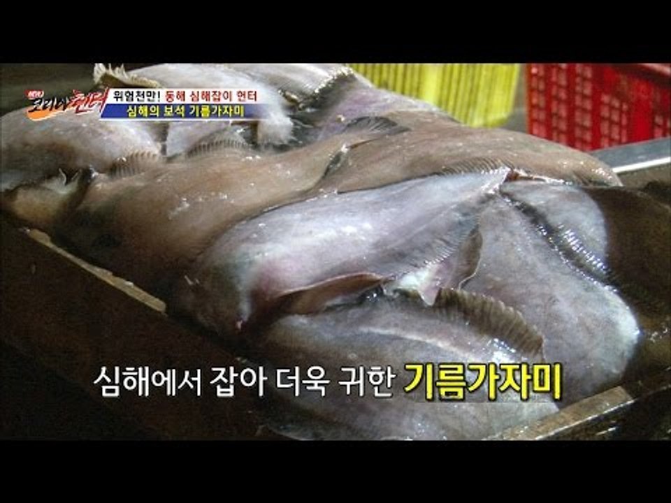 심해에서 왔다! 기름가자미 [뉴 코리아 헌터] 2회 20160616