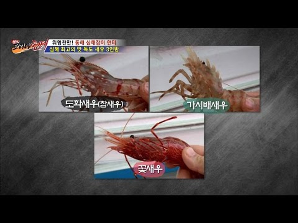 심해 최고의 맛 독도 새우 3인방 [뉴 코리아 헌터] 2회 20160616