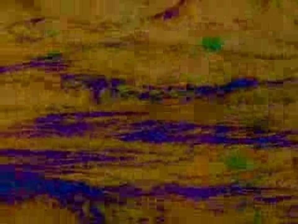 "CROSSINGS"