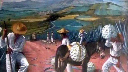 How It’s Made Tequila