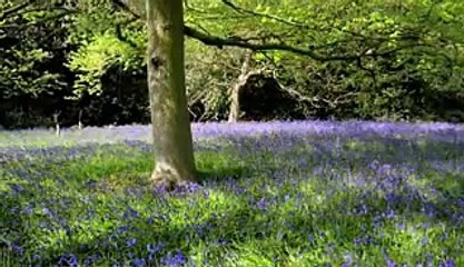 Micro Monsters Episode 6 of 6,Watch Tv Series new S-E 2016