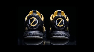 zo2 lonzo ball