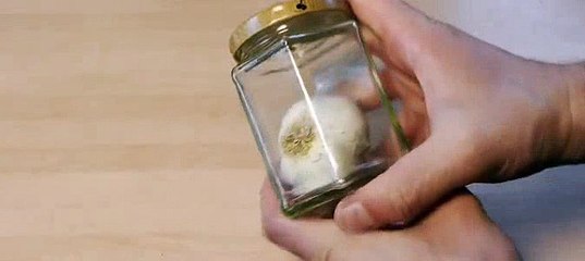 LifeHack How-to-Peel-Garlic  Life-Hack
