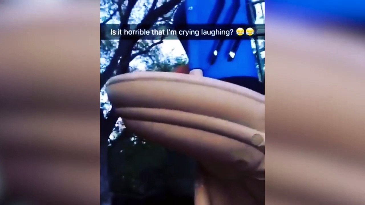 The Best ANIMAL FAILS! Funny Fail Compilation | April 2017 | Funny and Silly Cats, Dogs an