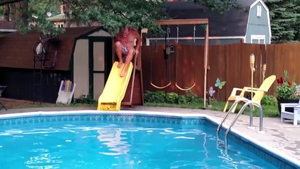 WE LOVE FAILS! - APRIL 2017 Week 4 | The Best Fails - Funny Fail Compilation