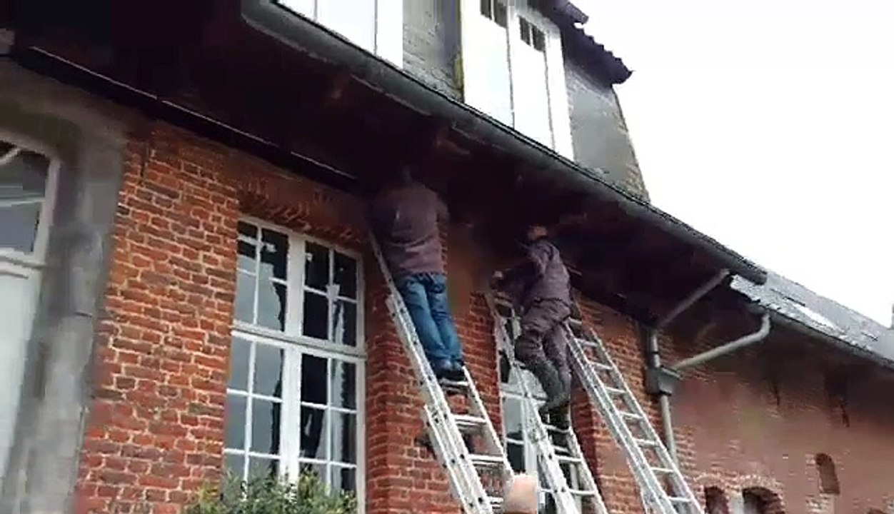 Tournaisis: des nids artificiels trois étoiles pour les hirondelles