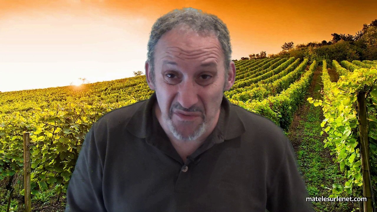 Gel des vignes de Bordeaux
