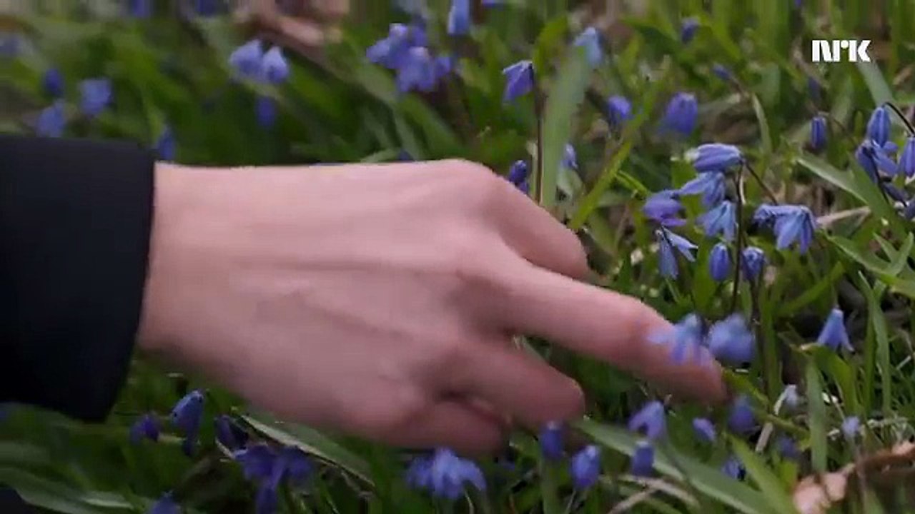 Part 1/2 TITLE: Not done anything wrong DAY/DATE/TIME: Saturday, May 6th at 9:58 am