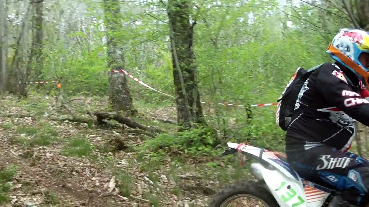 chamivard 2017