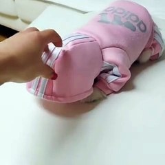 His mom finds him squatting on the couch. Here's who hiding under the sweater