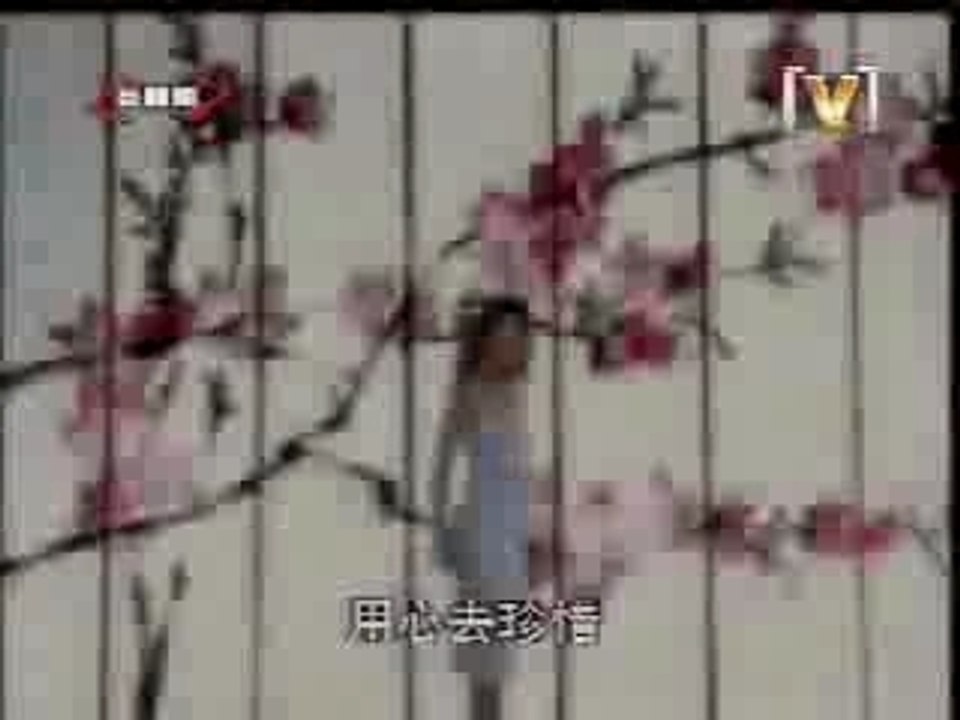 DISNEY -MULAN - REFLECTION - CHINESE VERSION