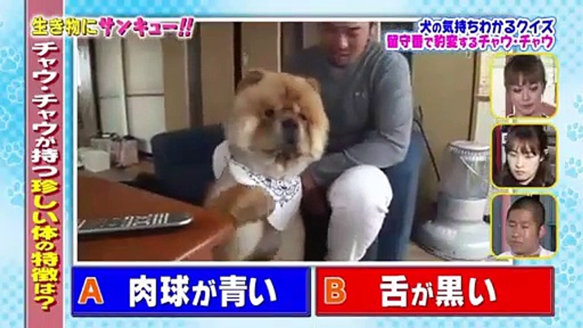 生き物にサンキュー アイ アム冒険少年 17年3月29日 Part 1 Video Dailymotion