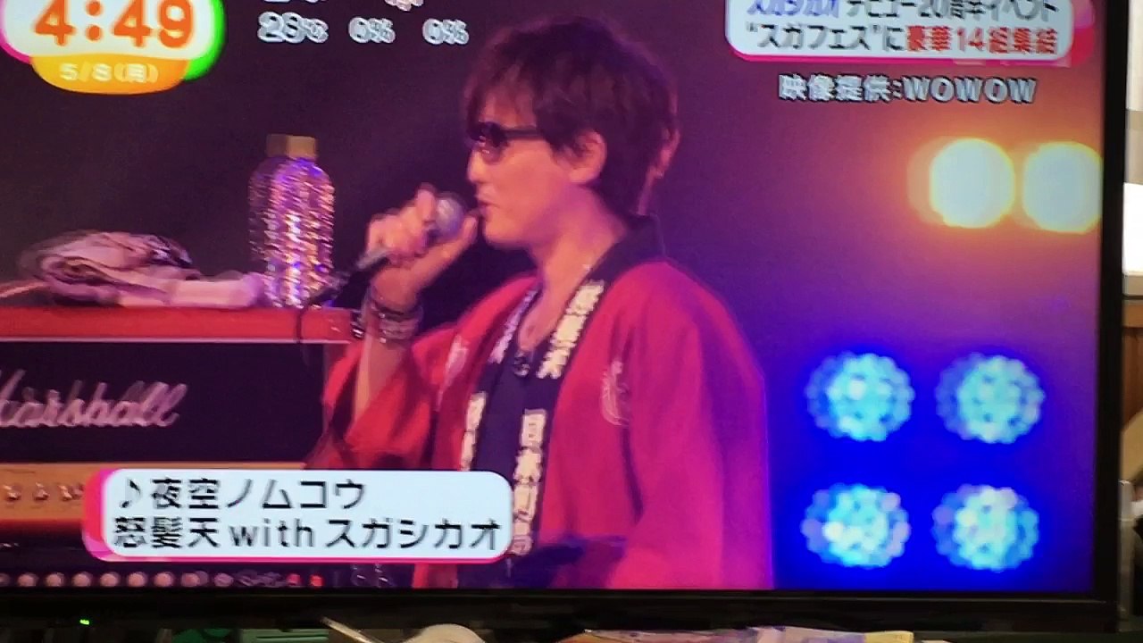 スガフェス  ふなっしー