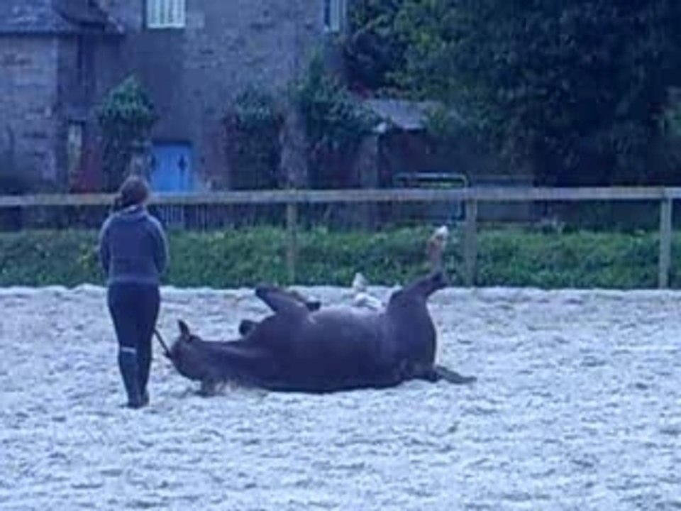 Photo du concour du 30.09.2007 064