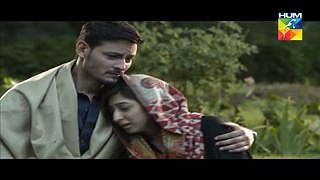 Diyar E Dil Episode 11 Full Part,Watch Tv Series new S-E 2016
