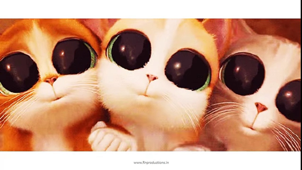 Cat Gangnam Style - funny animal videos