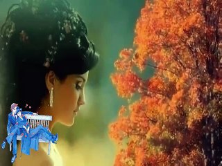 Hüseyin Altın - Hasret Akşamları