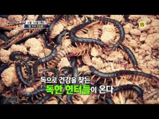 잘 먹으면 약이 되는 독!_코리아헌터 2회 예고