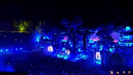 Dimitri Vegas & Like Mike - Tomorrowland 2016_23