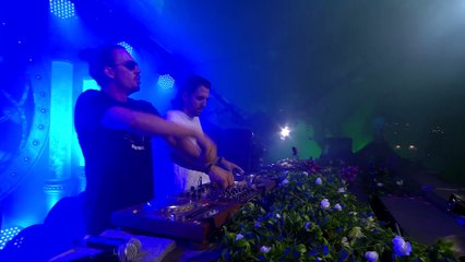 Dimitri Vegas & Like Mike - Tomorrowland 2016_30