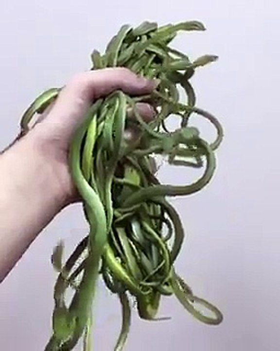 this person is holding all my old friends