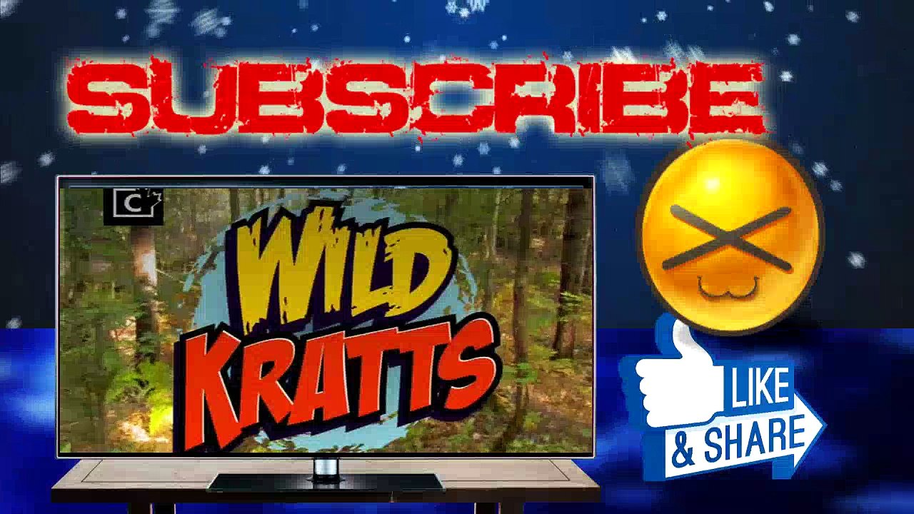 Wild Kratts - Quiller's Birthday Present