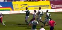 Wanderson  Goal  HD  0-1   Mattersburg   VS  Salzburg  06-05-2017