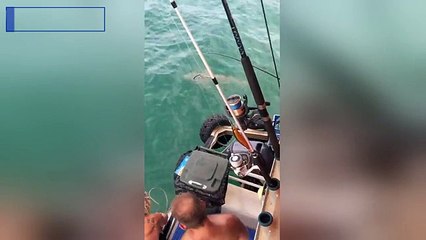 Fisherman attempts to lasso a shark but it strikes back