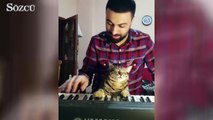 Mükemmel piyano düeti