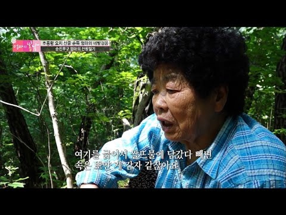 산속을 누비는 순진무구 엄마의 전원일기 [엄마의 봄날] 46회 20160613