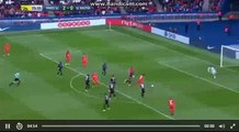 Edinson Cavani But HD - Paris SG 3-0 Bastia - 06.05.2017