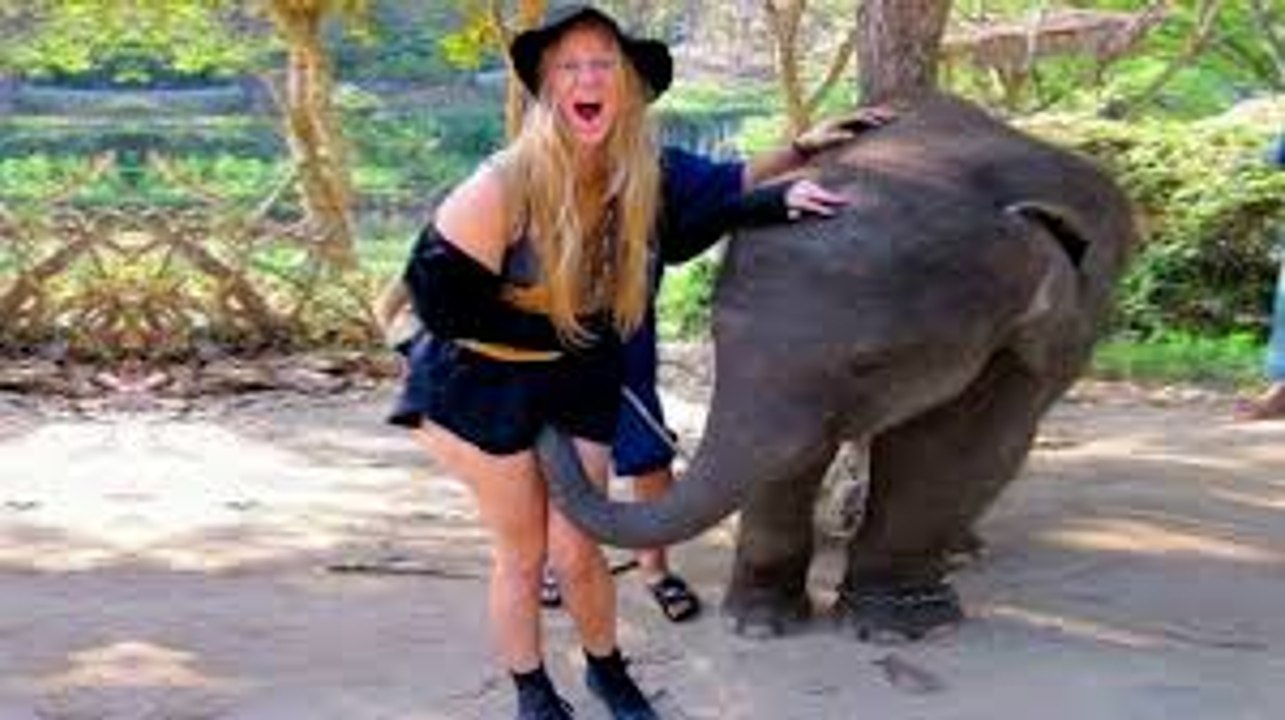 Funny videos 2017 funny pranks try not to laugh challenge