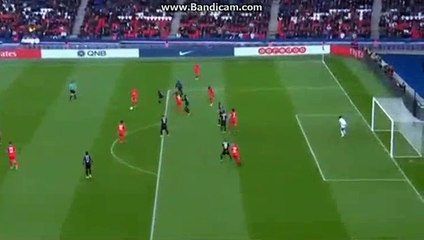 Cavani  Goal    HD - PSG 3-0 Bastia - 06.05.2017