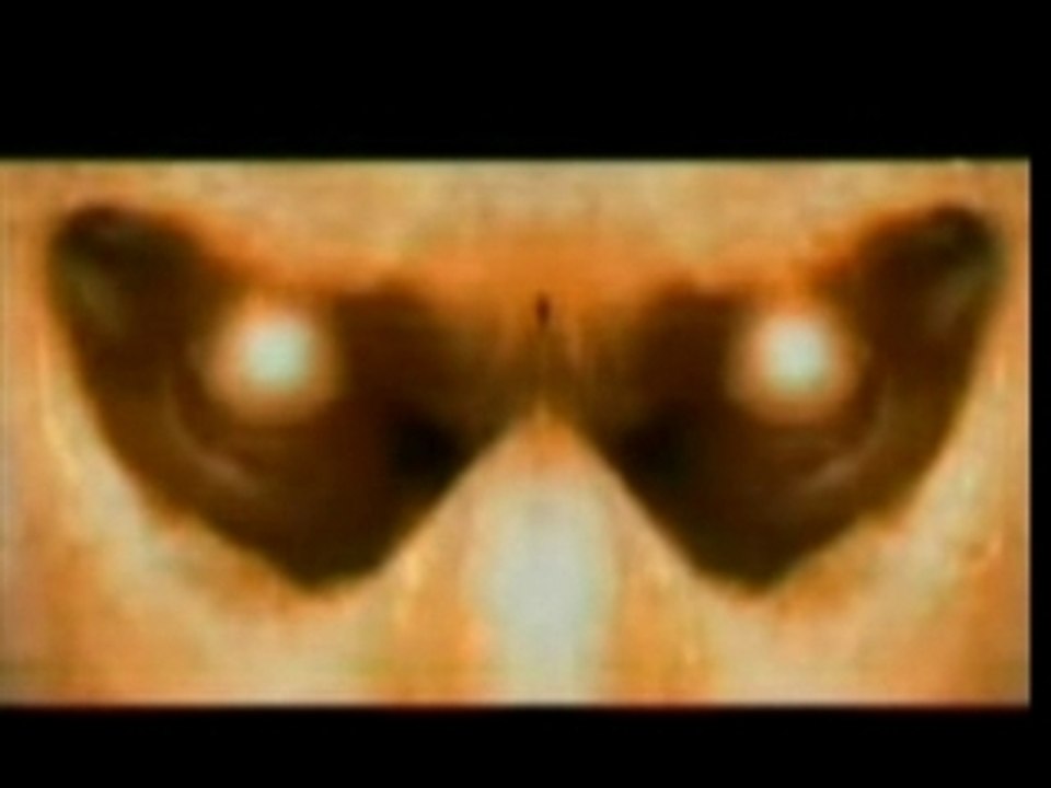 TERMINATOR 5 skynet