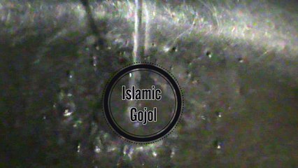 Dristi Moder jai jotodor - Bangla Gojol