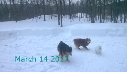 Snow Storm 2017 March
