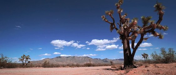 8 BODIES Official Trailer (2017)  Jennette McCurdy Horror Comedy Short Film HD