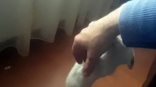 Pablo play