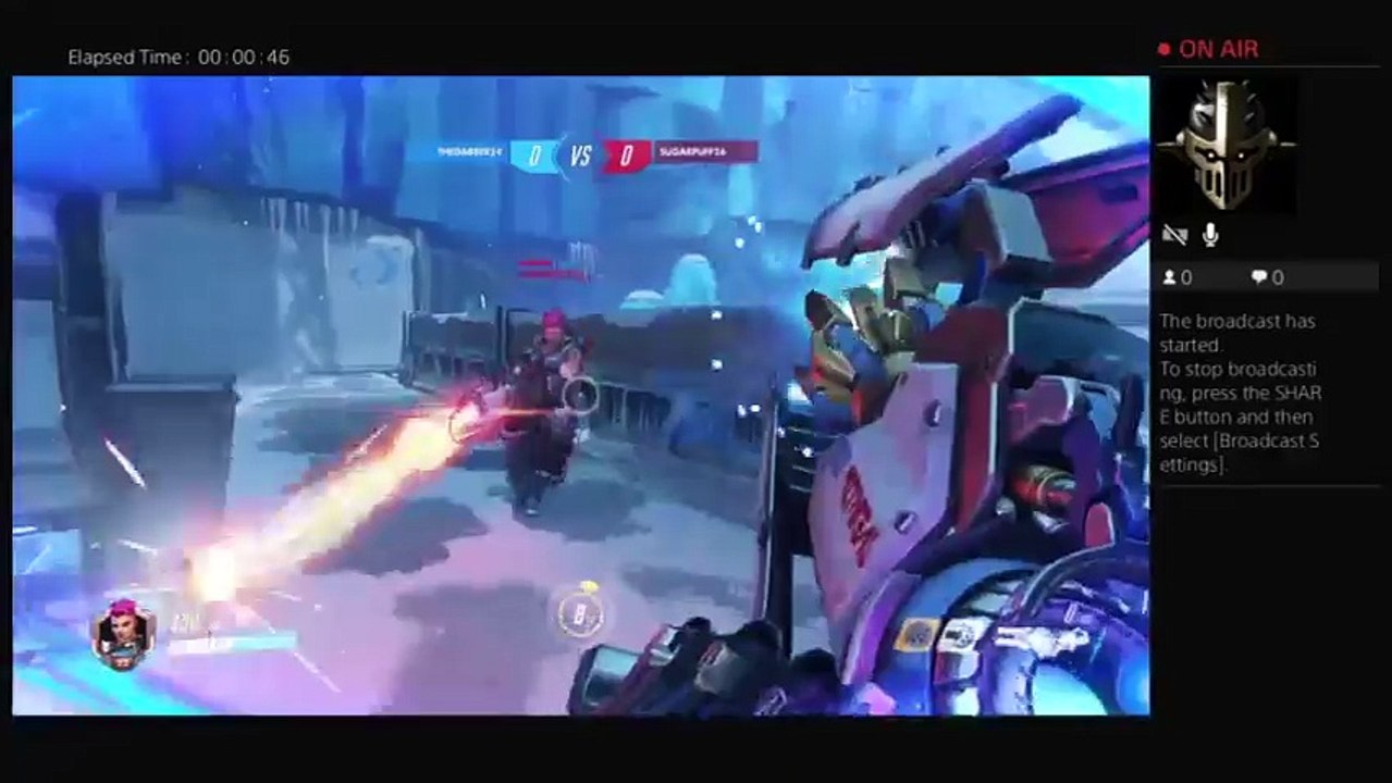 Overwatch (25)