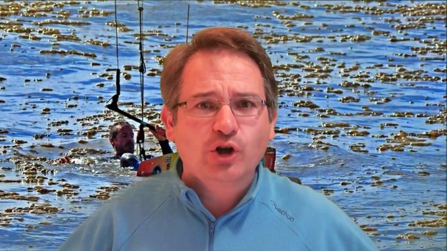 El Gobierno de Asturias descarta vertido de hidrocarburos en las playas de Salinas y dice que fueron algas