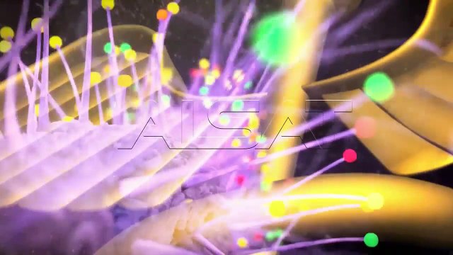 ОГЛЕДАЛО НА ЗДРАВЈЕТО СТРАВОВИ КАЈ ДЕЦАТА- АЛАСАТ М Frika tek fëmijët